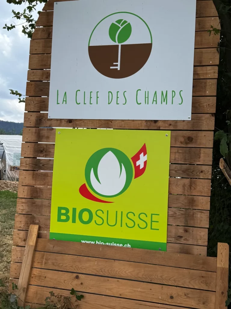 Juramigrants-2e-edition-marche-gourmande-1er-aout-2026-36 Jura Migrants